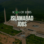 Chief Executive Officer (CEO) – National Insurance Company Limited (NICL) – Islamabad – Pakistan